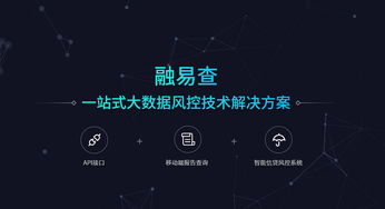 融易查 引領(lǐng)互聯(lián)網(wǎng)時(shí)代大數(shù)據(jù)風(fēng)控技術(shù)的數(shù)據(jù)服務(wù)